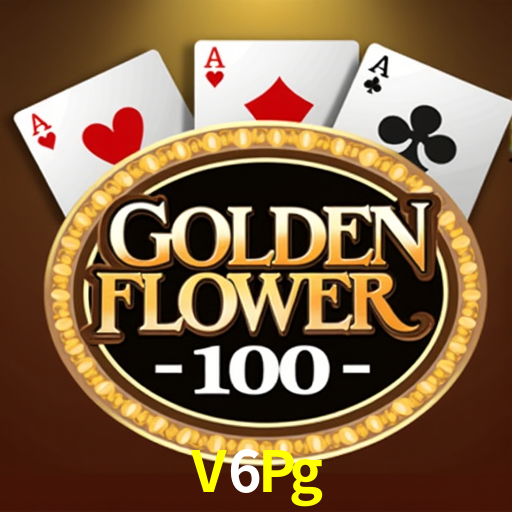 V6Pg