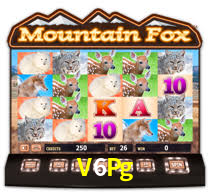 V6Pg